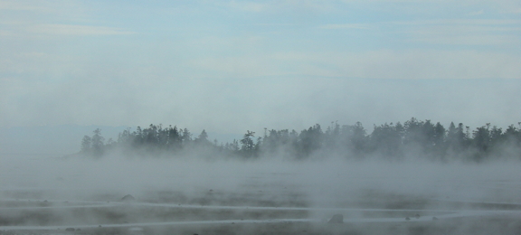 Fog over the bay